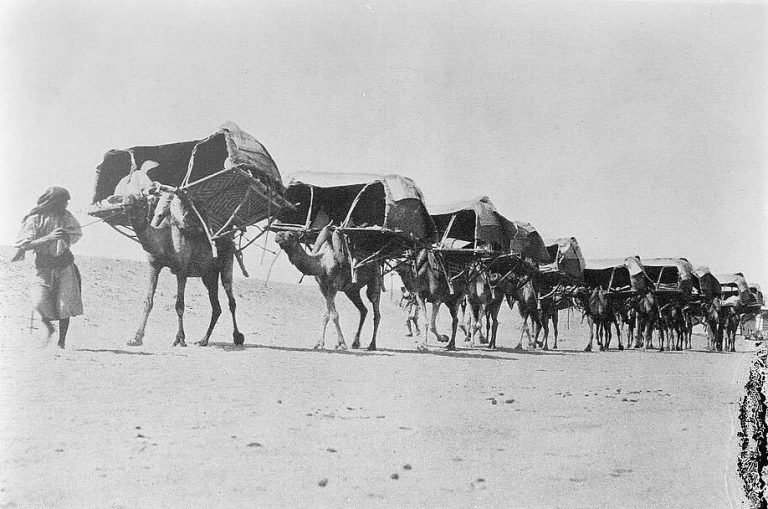 في ظلال الهجرة
